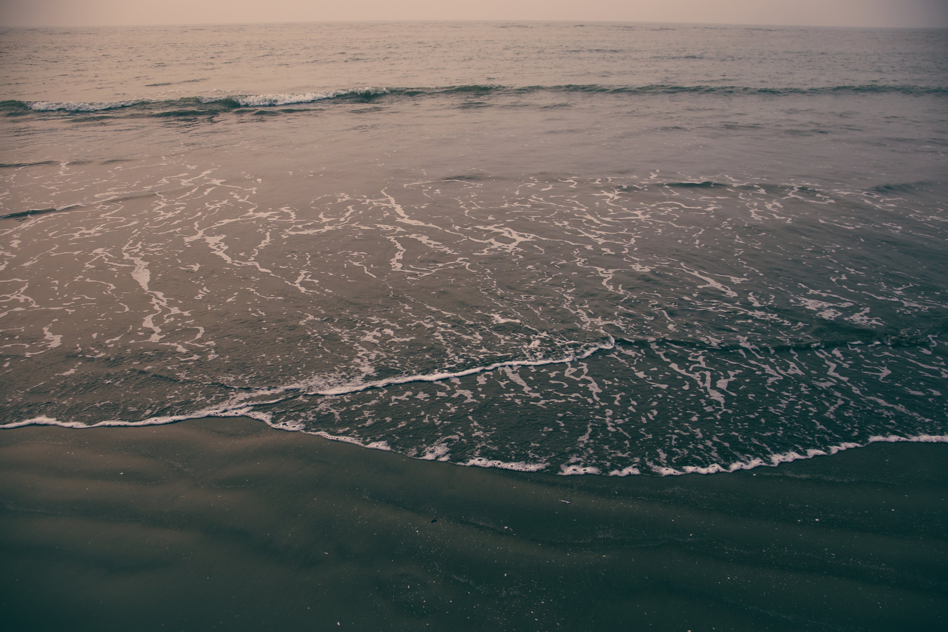 Load video: Video about the science behind super active marine enzymes